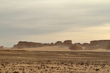 Mısır Sahrası 'ndaki Farafra' daki Beyaz Çöl.