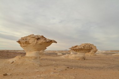 Mısır Sahrası 'ndaki Farafra' daki Beyaz Çöl.