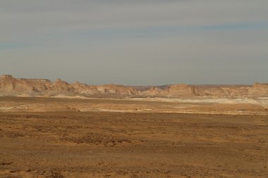 Mısır Sahrası 'ndaki Farafra' daki Beyaz Çöl.