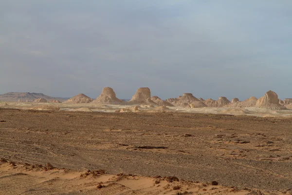 Mısır Sahrası 'ndaki Farafra' daki Beyaz Çöl.