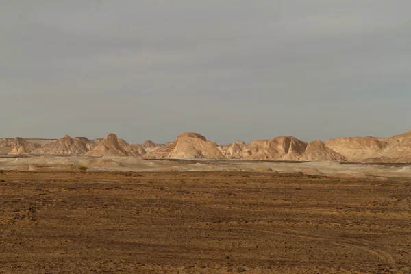 Mısır Sahrası 'ndaki Farafra' daki Beyaz Çöl.