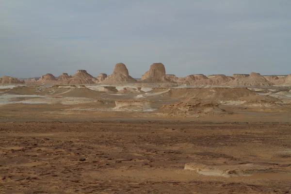 Mısır Sahrası 'ndaki Farafra' daki Beyaz Çöl.