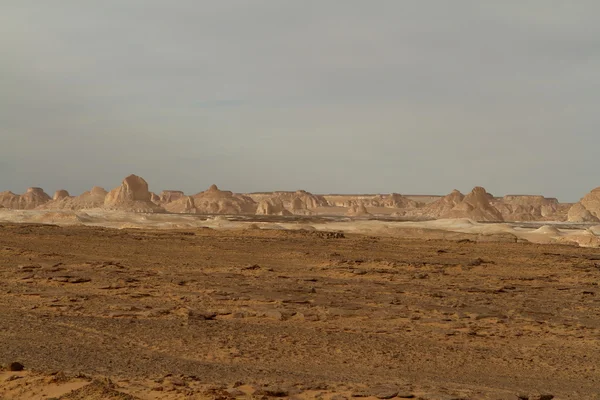 Mısır Sahrası 'ndaki Farafra' daki Beyaz Çöl.
