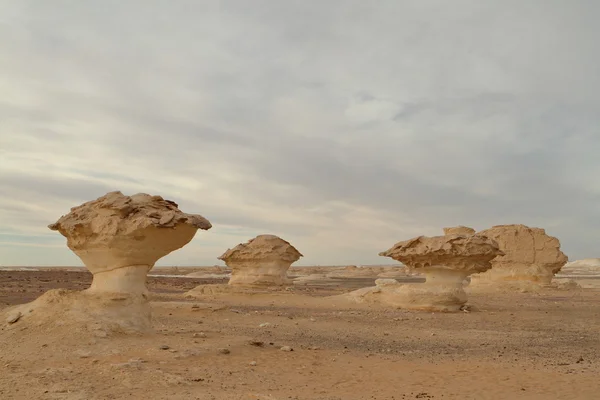Bílá poušť ve Farafře v egyptské Sahaře — Stock fotografie