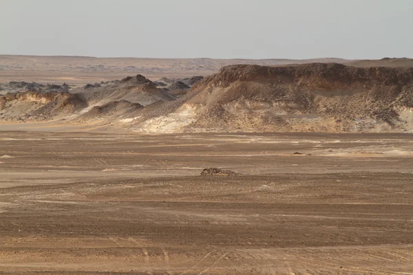 Mısır'ın Sahra siyah çöl