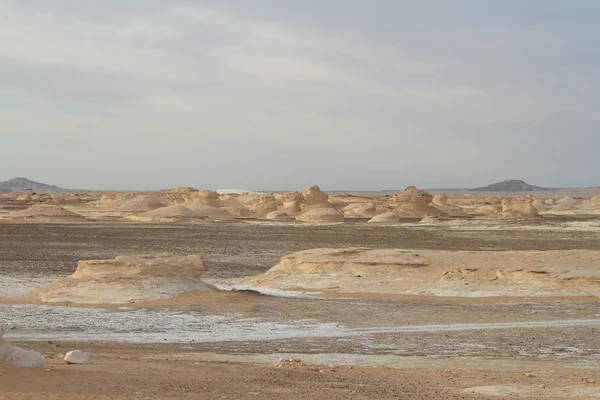 Mısır Sahrası 'ndaki Farafra' daki Beyaz Çöl.