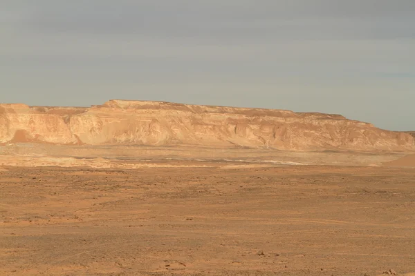 Mısır Sahrası 'ndaki Farafra' daki Beyaz Çöl.
