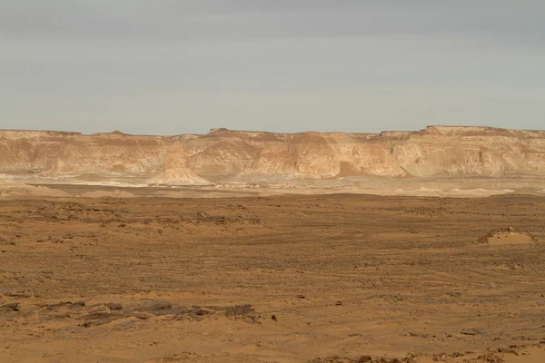 Mısır Sahrası 'ndaki Farafra' daki Beyaz Çöl.