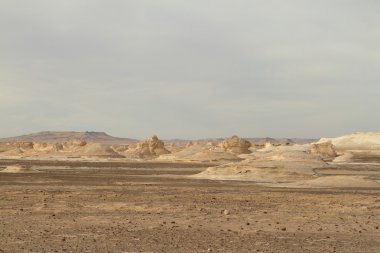 Mısır Sahrası 'ndaki Farafra' daki Beyaz Çöl.