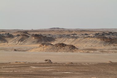 Mısır Sahrası 'ndaki Farafra' daki Beyaz Çöl.