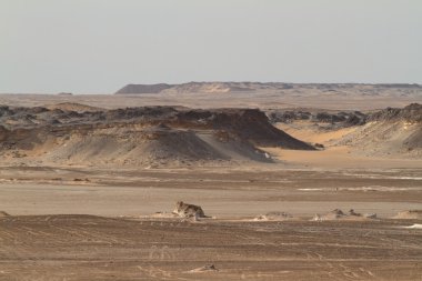 Mısır'ın Sahra siyah çöl