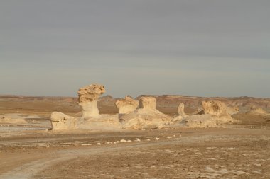 Mısır Sahrası 'ndaki Farafra' daki Beyaz Çöl.