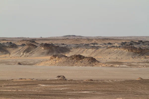 Mısır Sahrası 'ndaki Farafra' daki Beyaz Çöl.