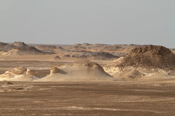 Mısır Sahrası 'ndaki Farafra' daki Beyaz Çöl.