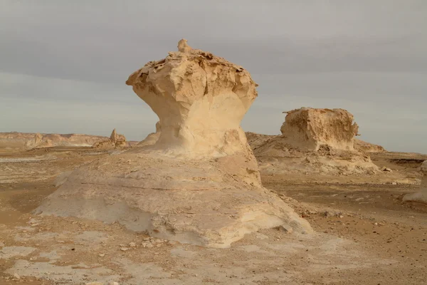 Mısır Sahrası 'ndaki Farafra' daki Beyaz Çöl.