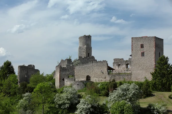 城堡废墟勃兰登堡图林根州 — 图库照片