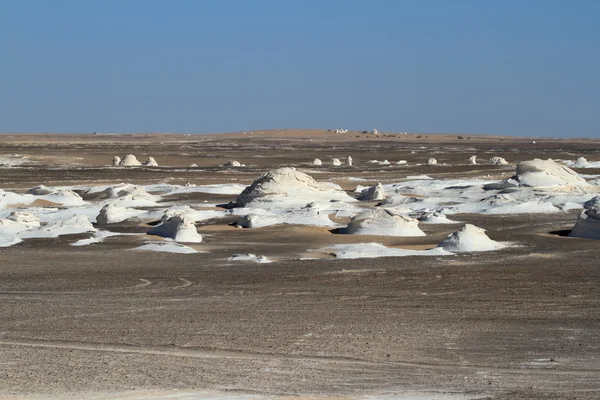 Valkoinen autiomaa Farafrassa Saharassa Egyptissä — kuvapankkivalokuva