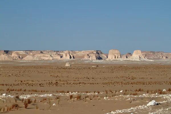 De Witte Woestijn bij Farafra in de Sahara van Egypte — Stockfoto