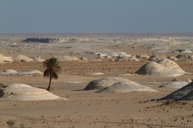 Mısır Sahrası 'ndaki Farafra' daki Beyaz Çöl.