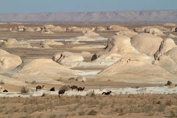 Gurun Putih di Farafra di Sahara Mesir — Stok Foto