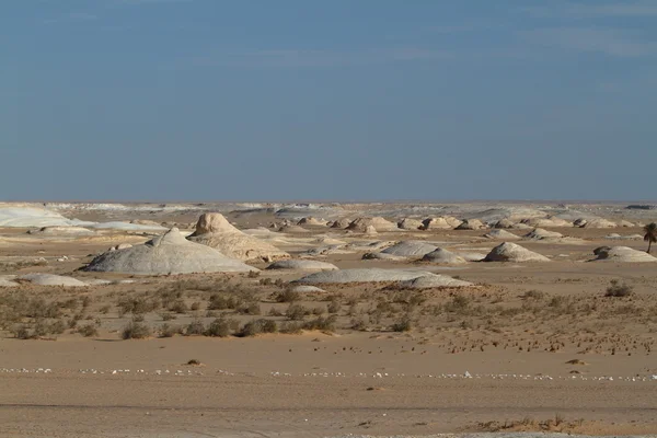 Bílá poušť ve Farafře v egyptské Sahaře — Stock fotografie