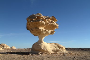 Mısır Sahrası 'ndaki Farafra' daki Beyaz Çöl.