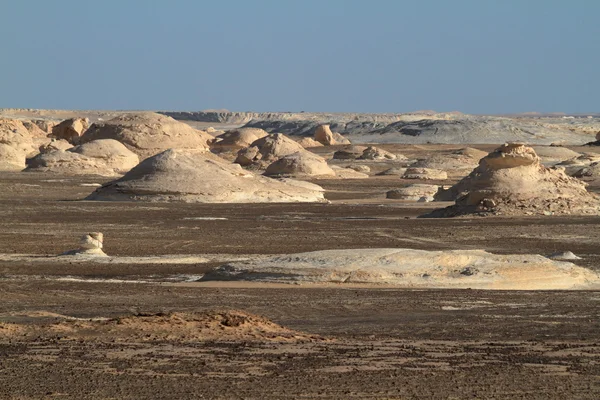 埃及撒哈拉沙漠中的法拉夫白沙 — 图库照片