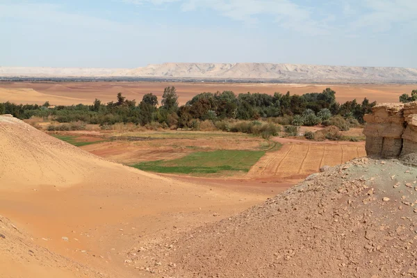 Oasi di El Qasr nel deserto del Sahara — Foto Stock
