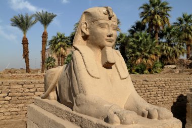 Luxor Mısır'daki Sfenks yolu