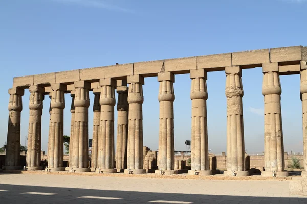 Tempel luxor i egypt — Stockfoto