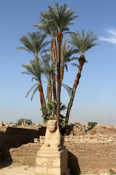 El camino de la Esfinge de Luxor en Egipto —  Fotos de Stock