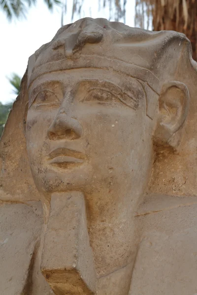 The road of the Sphinx from Luxor in Egypt — Stock Photo, Image