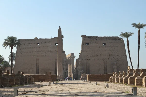 Храм Луксора в Египте — стоковое фото
