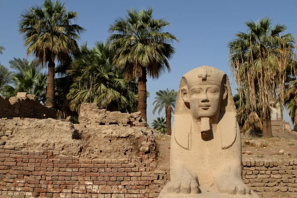 Die Straße der Sphinx von Luxor in Ägypten — Stockfoto