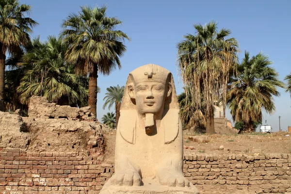 狮身人面像从在埃及卢克索的道路 — 图库照片