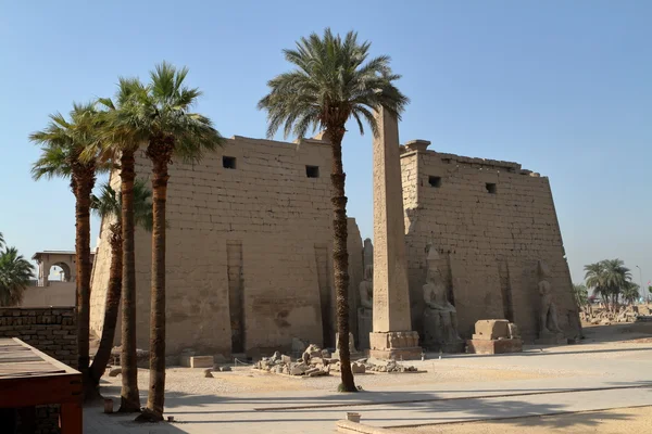 O templo de luxor no Egito — Fotografia de Stock