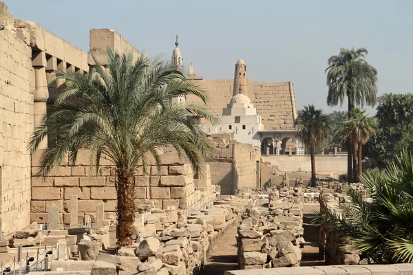 De tempel van luxor in Egypte — Stockfoto