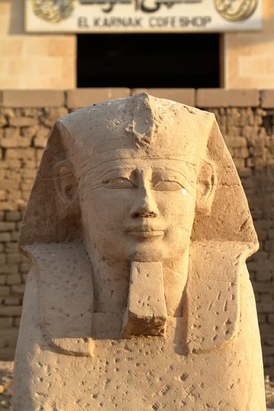 Luxor Mısır'daki Sfenks yolu — Stok fotoğraf