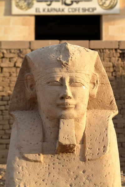 De weg van de Sfinx van Luxor in Egypte — Stockfoto