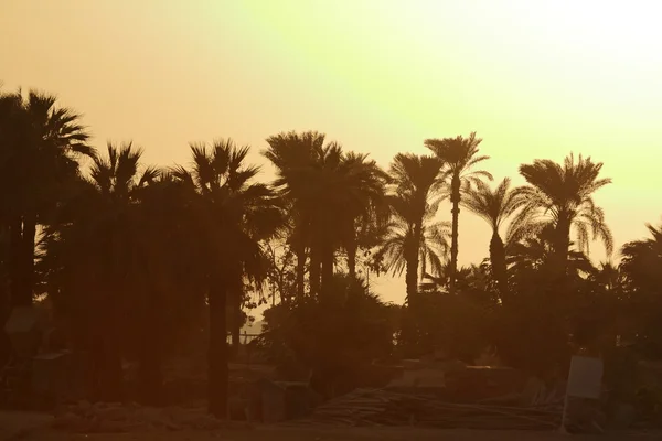 Sunset on the Nile in Egypt — Stock Photo, Image