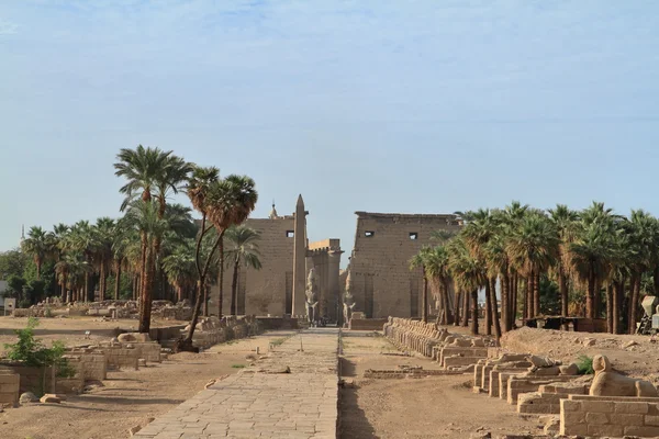El templo de luxor en Egipto —  Fotos de Stock