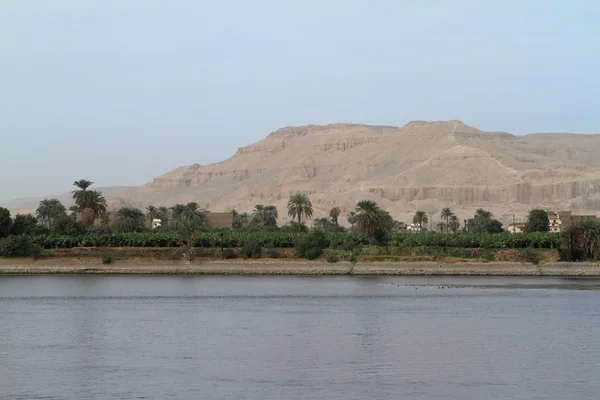 The Nile in Egypt — Stock Photo, Image
