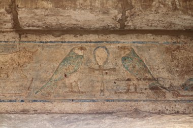 Hiyeroglif ve Mısır'daki tapınak resimleri