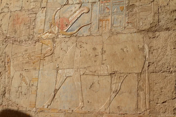 Le Temple de Hatchepsout en Egypte — Photo