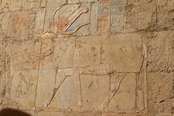 Il Tempio di Hatshepsut in Egitto — Foto Stock