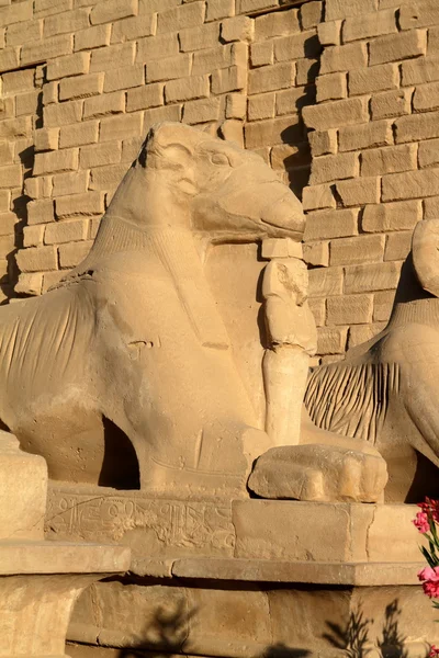 Храм на Карнаке в Єгипті — стокове фото