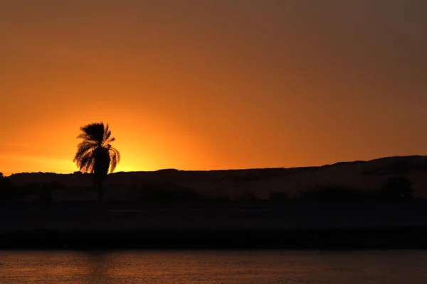 Pôr do sol com felucas no Nilo no Egito — Fotografia de Stock