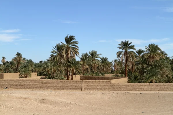 En by i den sudanesiska Sahara — Stockfoto