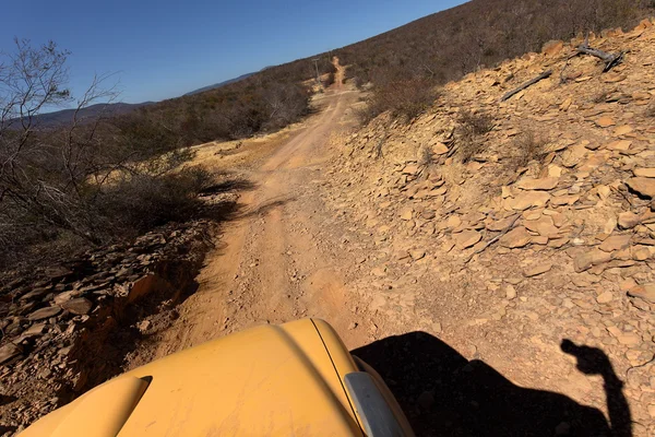 Off Road in the Caatinga in Brazil — Stock Photo, Image