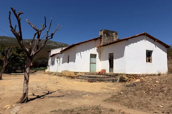 Aldeia solitária Queixo Dantas na Caatinga do Brasil — Fotografia de Stock